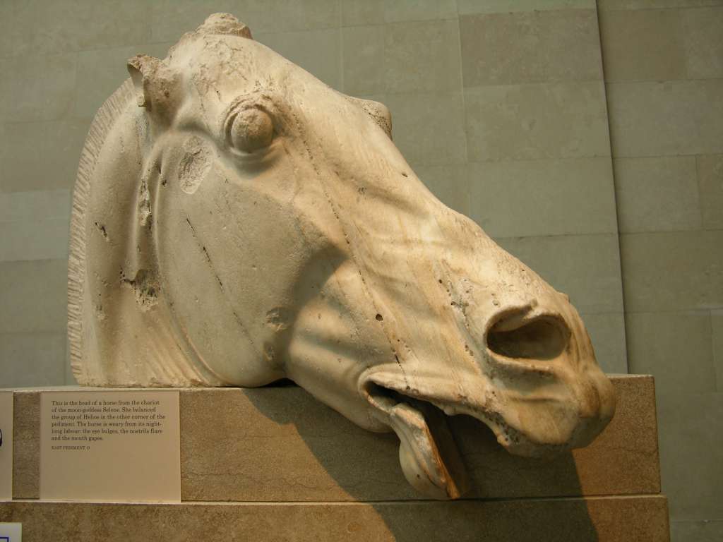 British Museum Top 20 04-2 Head of a horse of Selene from the east pediment of the Parthenon 4. Head of the horse of Selene � Athens Parthenon, 447-432BC, 83cm. The horse�s head captures the stress felt by a beast that has spent the night drawing Selene�s chariot of the Moon across the sky. The horse pins back its ears, the jaw gapes, the nostrils flare, the eyes bulge, veins stand out, and the flesh seems spare and taut over the flat plate of the cheek bone.